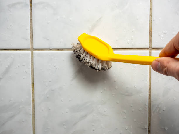 Best Post-Flood Mold Remediation in North Auburn, CA