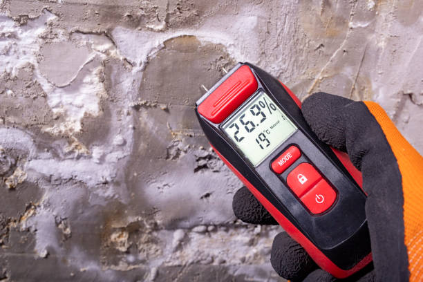 Best Insurance-Related Mold Remediation in North Auburn, CA